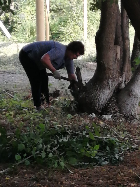 chistuli 4