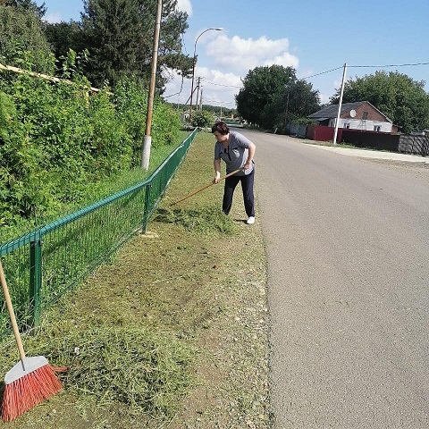 subbotnik 2